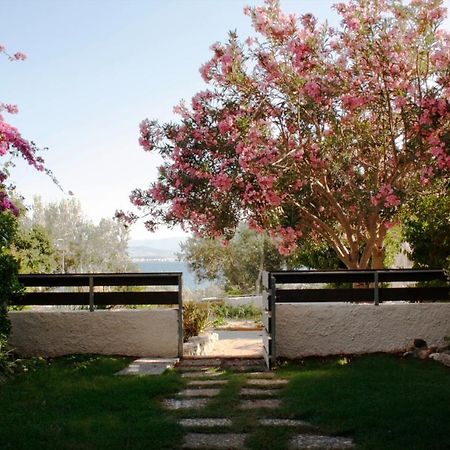 Beachfront Garden Apartment- Atlas Complex Loutráki Dış mekan fotoğraf